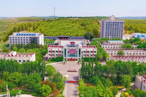 1763045380442766.jpeg 11_副本.jpg