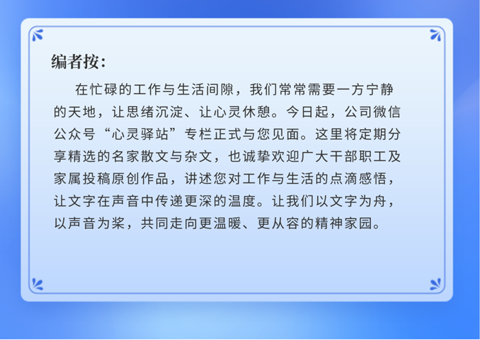 1765155797989673.png 22_副本.png